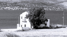 Σαλαμίνα: Ένας αδικημένος παράδεισος, από τη ναυμαχία στο δραματικό λοιμοκαθαρτήριο και τις εμπνεύσεις του Σικελιανού