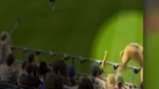 ΗΠΑ: Η τρομακτική στιγμή που οπαδός σε αγώνα μπέιζμπολ έπεσε από 6,5 μέτρα ύψος πανηγυρίζοντας για την ομάδα του