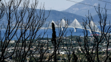 Φωτιά στην Αχαΐα: Οικονομικό βοήθημα για τους πληγέντες της πυρκαγιάς στην Πάτρα