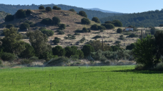 Παραχώρηση 252 στρεμμάτων για την ανασκαφή και ανάδειξη της αρχαίας Αρίσβης στη δυτική Λέσβο