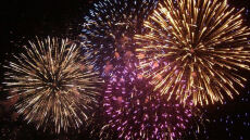 Αθόρυβα Πυροτεχνήματα: Η νέα πρωτοβουλία της Ειδικής Γραμματείας για την Προστασία των Ζώων Συντροφιάς