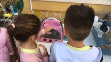 Κρήτη: Μαθητές δημοτικού πήγαν με τα κατοικίδιά τους στο σχολείο	