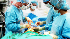 ΗΠΑ: Δεύτερη μεταμόσχευση νεφρού γενετικά τροποποιημένου χοίρου σε ασθενή