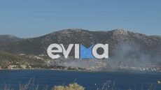Καλύτερη η εικόνα της φωτιάς στην Παναγιά Εύβοιας - Μάχη με τις διάσπαρτες εστίες