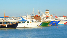 Πλοιοκτήτες Τουριστικών Σκαφών: Γιατί το υπουργείο αποφάσισε να γίνονται rapid test στα πλοία μας;