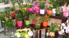 Lockdown στην Αττική: Ανοικτά τα ανθοπωλεία το σαββατοκύριακο του Αγίου Βαλεντίνου