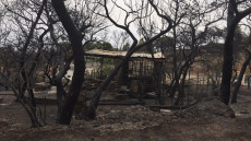 Φωτιά στην Κινέτα: Εικόνες βιβλικής καταστροφής και συγκλονιστικές μαρτυρίες για τον πύρινο εφιάλτη