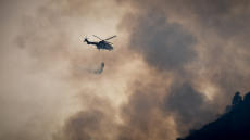 Αμαλιάδα: Μάχη με τις φλόγες σε δύο μέτωπα