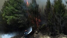 Πάτρα: Υπό πλήρη έλεγχο η πυρκαγιά στο Άνω Καστρίτσι 