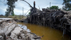 Αγωνία για τους τέσσερις αγνοούμενους του «Ζορμπά» - Τους ψάχνουν δύτες και ΕΜΑΚ