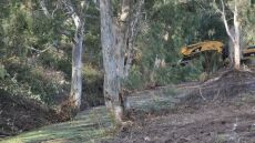 Πρέβεζα: Σε νεαρή γυναίκα ανήκει το κρανίο που εντοπίστηκε πριν τρεις ημέρες σε χωράφι 