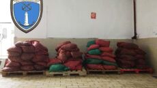 Δύο τόνοι ακατάλληλα όστρακα στην Αλεξανδρούπολη