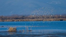 Λαθραλιείς ψάρευαν σε φράγμα στα Γρεβενά