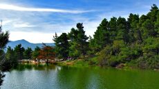 «Ιπποκράτειος Πολιτεία»: Σκάνδαλο με παράνομες μεταβιβάσεις περιουσιακών στοιχείων του συνεταιρισμού 