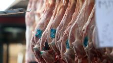 Νίκαια: Κατασχέθηκαν 300 κιλά ακατάλληλων κρεάτων σε κρεοπωλείο