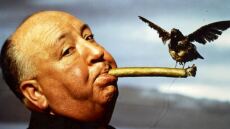 Οι αδικημένοι των Όσκαρ: Δέκα σπουδαίοι σκηνοθέτες που δεν πήραν ποτέ αγαλματάκι!