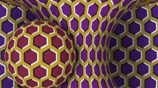 Σάλος στο διαδίκτυο από την εικόνα που δήθεν μαρτυρά πόσο αγχωμένοι είμαστε