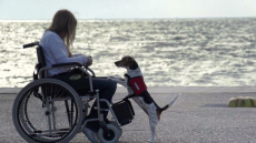 Σκύλοι: Αλλάζουν τις ζωές των ατόμων με ειδικές ανάγκες