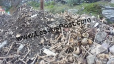 Εικόνες σοκ στο Πλωμάρι Λέσβου: Πέταξαν ανθρώπινα οστά στη μέση του δρόμου