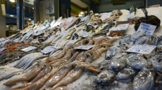 Καθαρά Δευτέρα: Ακριβότερα φέτος τα Σαρακοστιανά, πού κυμαίνονται οι τιμές σε ιχθυοπωλεία και Βαρβάκειο