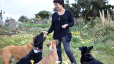 Γιατί δεν πρέπει να μαλώνουμε τον σκύλο μας