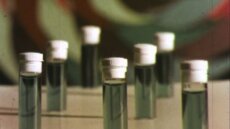 Έλληνες και Βρετανοί επιστήμονες βρήκαν τον τρόπο που το LSD επηρεάζει τον εγκέφαλο