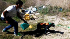 Πώς είναι σήμερα ο σκύλος που πριν πέντε χρόνια παραλίγο να τον κάψουν ζωντανό