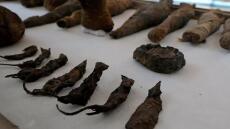 Βρέθηκαν μουμιοποιημένα ποντίκια και γάτες σε αρχαίο αιγυπτιακό τάφο