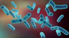 Η κλιματική αλλαγή ευνοεί τα υπερανθεκτικά μικρόβια