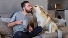 Οι άνδρες με μούσι έχουν περισσότερα μικρόβια από τους σκύλους