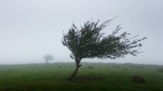 Meteo: Μας πήρε και μας... σήκωσε ο καιρός αυτόν τον χειμώνα - Με έντονους ανέμους οι περασμένοι μήνες