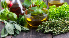 Δυο ελληνικά βότανα που είναι φυσικά αντιβιοτικά