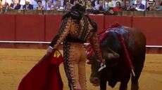 Σεβίλλη: Viral το βίντεο με ταυρομάχο που σκουπίζει τα δάκρυα του ταύρου πριν τον σκοτώσει