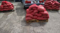 Φορτίο με 1.200 κιλά ακατάλληλα όστρακα στην Καβάλα