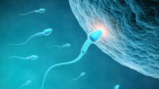 Ο απίστευτος αγώνας που κάνουν τα σπερματοζωάρια για να φτάσουν στον στόχο τους