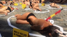 Ισπανία: Ημίγυμνοι ακτιβιστές διαμαρτύρονται για τις ταυροδρομίες στην Παμπλόνα 