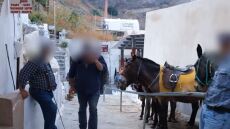 Σαντορίνη: Φιλόζωοι καταγγέλλουν ξυλοδαρμό επειδή κατέγραφαν τα βασανιστήρια γαϊδουριών