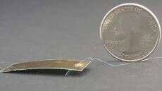 Δημιουργήθηκε ρομπότ... «κατσαρίδα» - Το πατάς και δεν παθαίνει τίποτε!