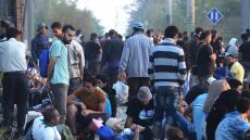 Στυλίδα: Νέο hot spot  για τους πρόσφυγες -  «Δεν θα δεχτούμε τετελεσμένα» λέει η δήμαρχος