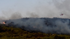 Χαρδαλιάς για φωτιά στη Νέα Μάκρη: Πρόκειται για την έβδομη πυρκαγιά σε εννέα ημέρες, δεν είναι τυχαίο