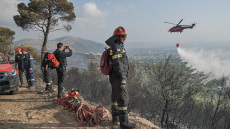 Φωτιά στη Νέα Μάκρη: Εμπρησμό «δείχνει» η έναρξη στις 2:17