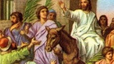 Φιλόζωοι «τα βάζουν» με... τον Ιησού: Να αφήσει τα γαϊδουράκια και να πάρει σκούτερ!