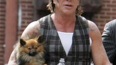 Συγκλονίζει ο Μίκι Ρουρκ:  Πήρα το όπλο να αυτοκτονήσω και ο σκύλος μου μου έσωσε τη ζωή