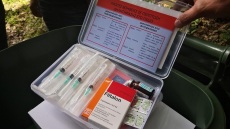 Θεσσαλονίκη: Σωτήριο για τρία ποιμενικά σκυλιά ένα ειδικό κουτί πρώτων βοηθειών