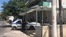 Τραγωδία στα Γλυκά Νερά: Ροτβάιλερ  σκότωσε βρέφος 