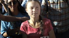 Ένα νέο είδος σκαθαριού «βαφτίστηκε»... Γκρέτα Τούνμπεργκ