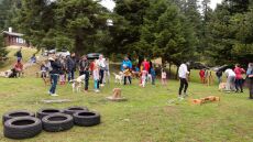 Dog Weekend: Ένα διήμερο αφιερωμένο στα αγαπημένα μας κατοικίδια