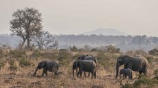 Ως το 2023 το καιρικό φαινόμενο La Niña - Φέρνει ξηρασία στην Αφρική