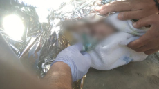 Θεσσαλονίκη: Συγκλονιστικές εικόνες από το νεογέννητο που εντοπίστηκε σε είσοδο πολυκατοικίας