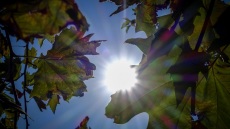 Καιρός: Γενικά αίθριος σε όλη τη χώρα